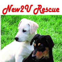 New2U Rescue